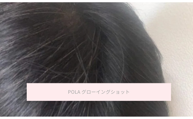 pola-shiragazome11