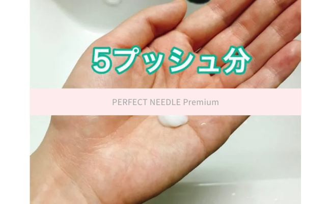 PERFECT NEEDLE Premium12