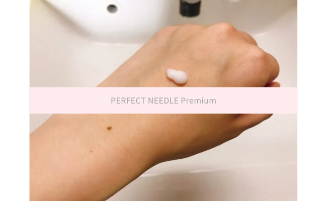 PERFECT NEEDLE Premium13