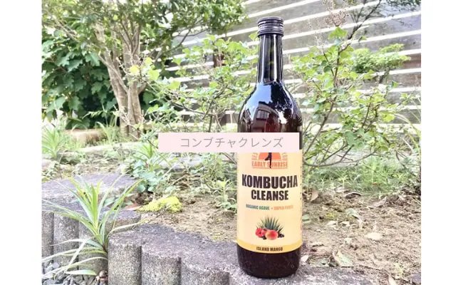 決まりました)コンブチャクレンズ15本セット