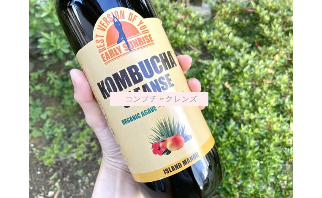 kombuchacleanse18