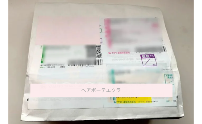 ヘアボーテ エクラ ボタニカルエアカラーフォームEX白髪染めを