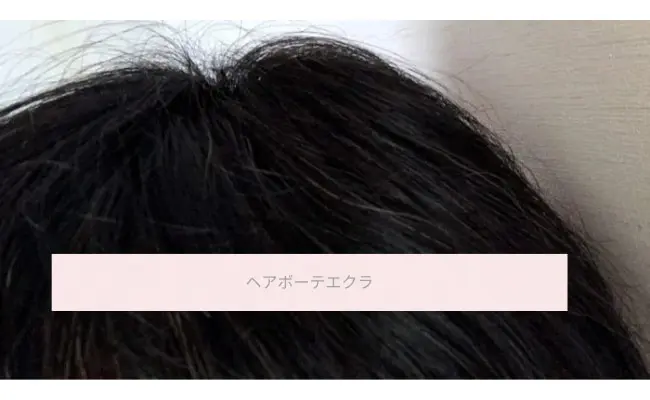 ヘアボーテ エクラ ボタニカルエアカラーフォームEX白髪染めを