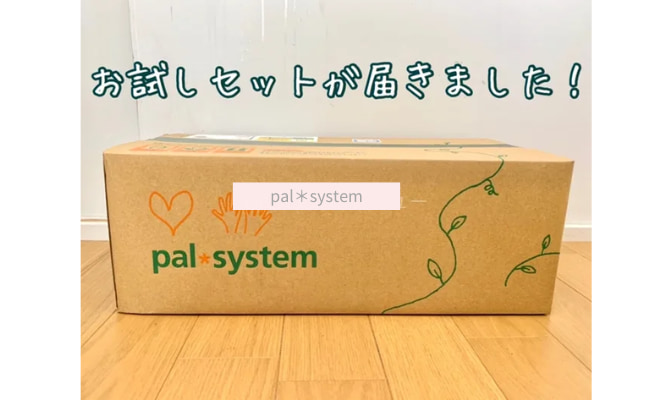 palsystem